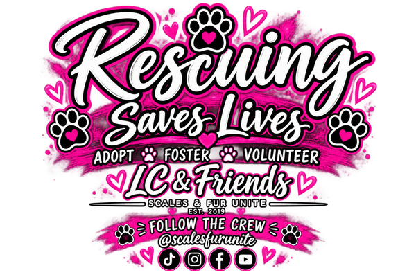 LC. & Friends Scales Fur Unite 2019